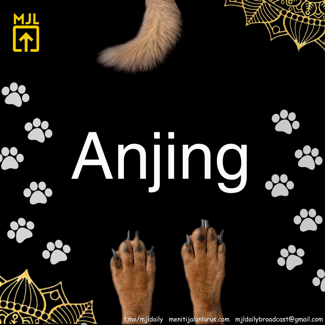 Anjing